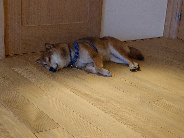 f:id:miyuki1967:20210223134802j:plain:w450