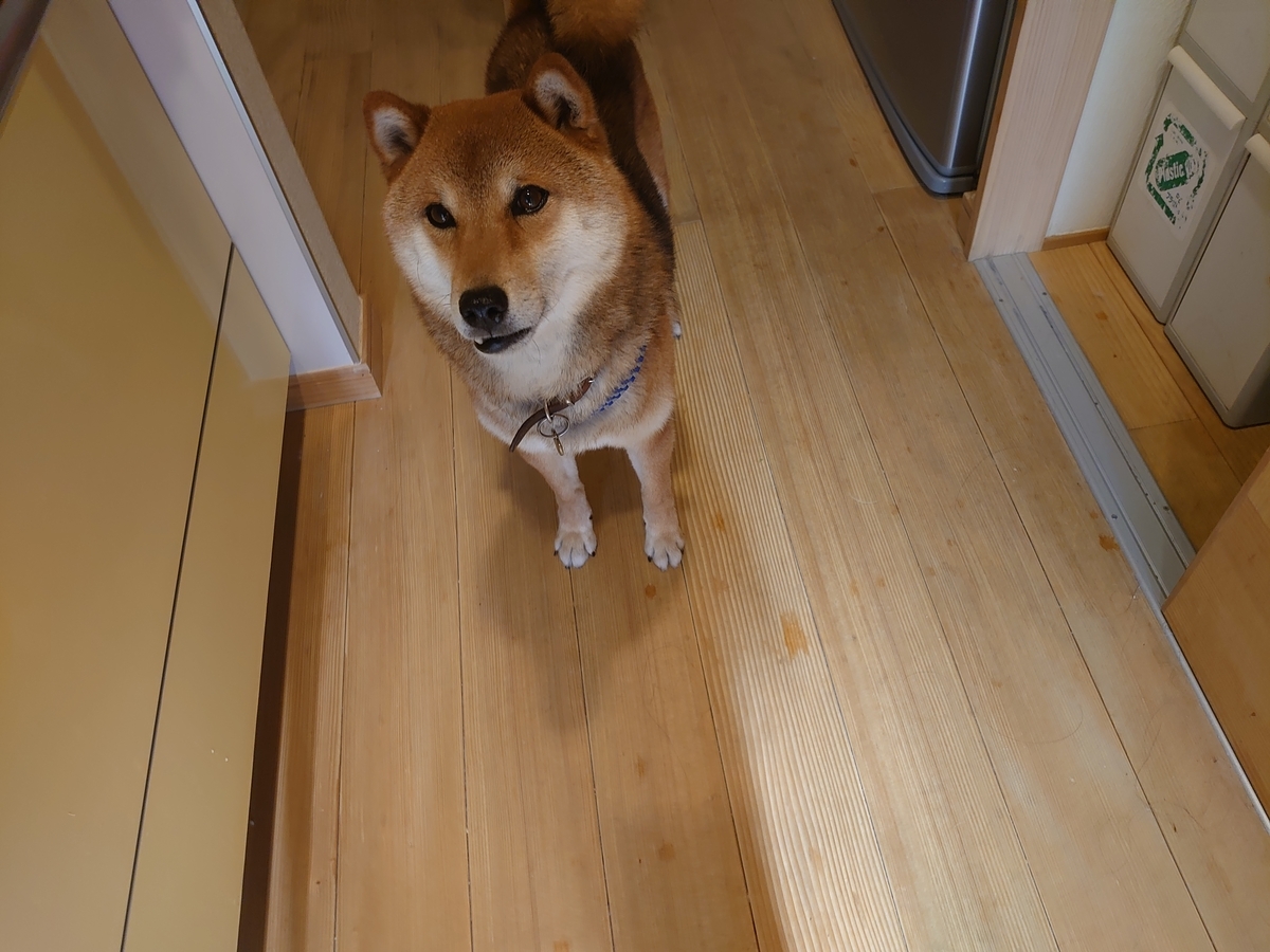 f:id:miyuki1967:20210610104415j:plain:w450