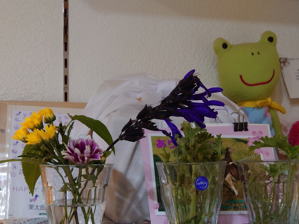 f:id:miyuki1967:20210728151413j:plain:w450