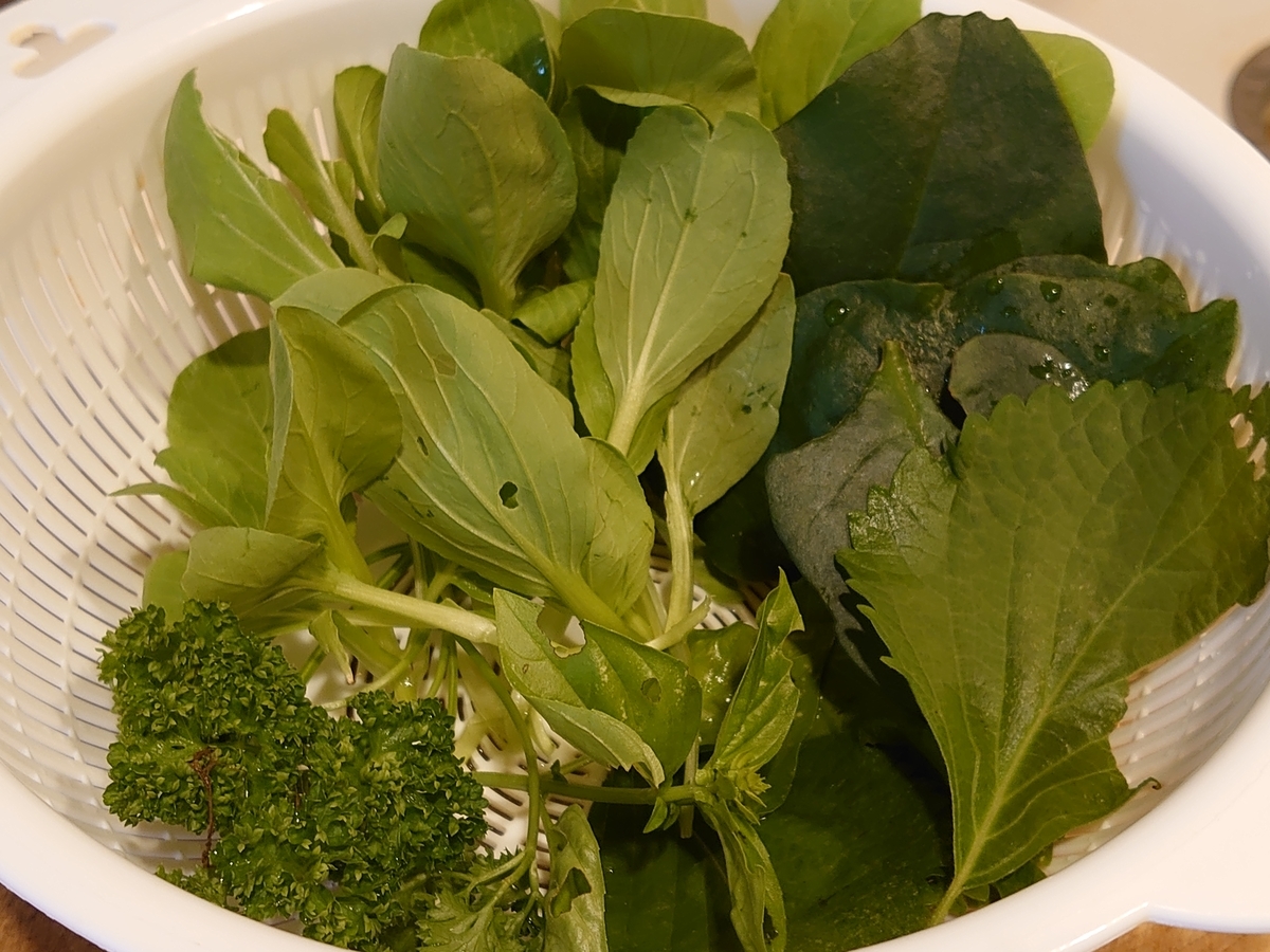 f:id:miyuki1967:20210728151824j:plain:w450