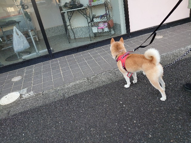 f:id:miyuki1967:20210827123535j:plain:w450