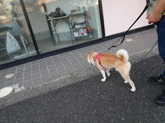 f:id:miyuki1967:20210827123547j:plain:w450
