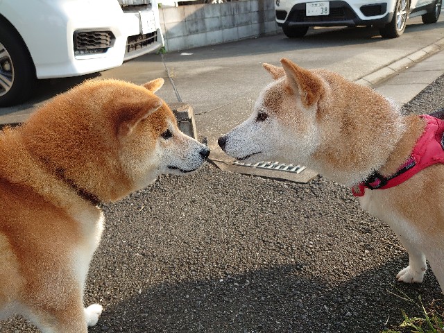 f:id:miyuki1967:20210827123617j:plain:w450
