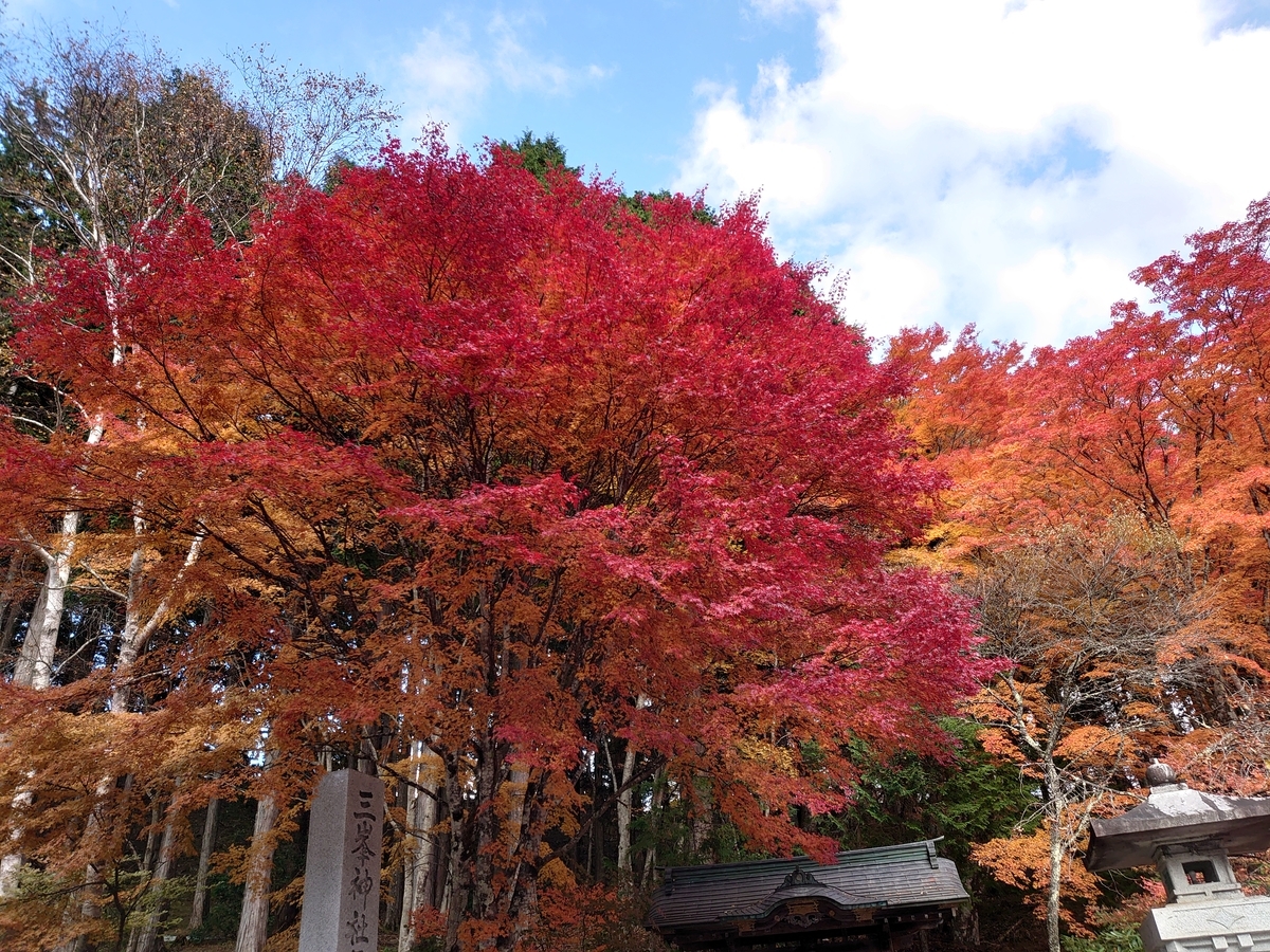 f:id:miyuki1967:20211104150107j:plain:w450