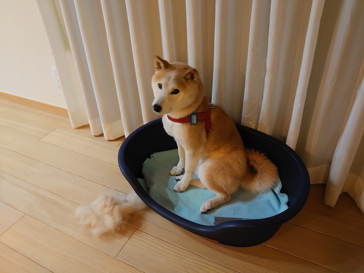 f:id:miyuki1967:20211106161527j:plain:w450