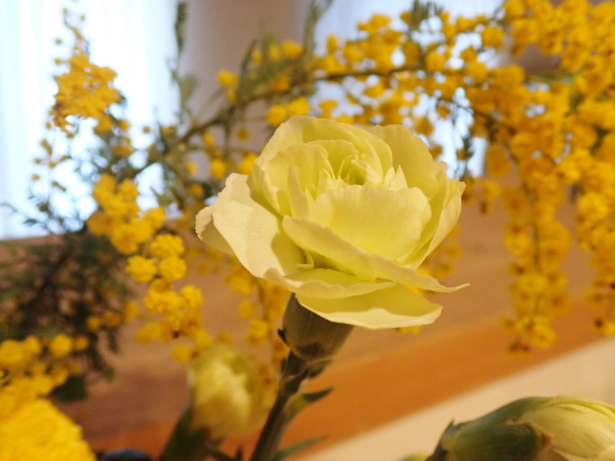 f:id:miyuki1967:20220304161541j:plain:w450