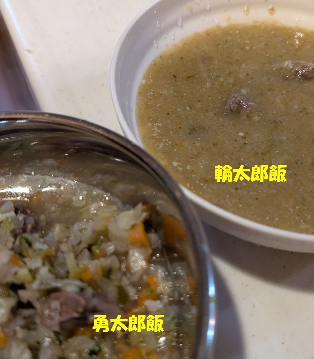 鳥と犬とで大家族