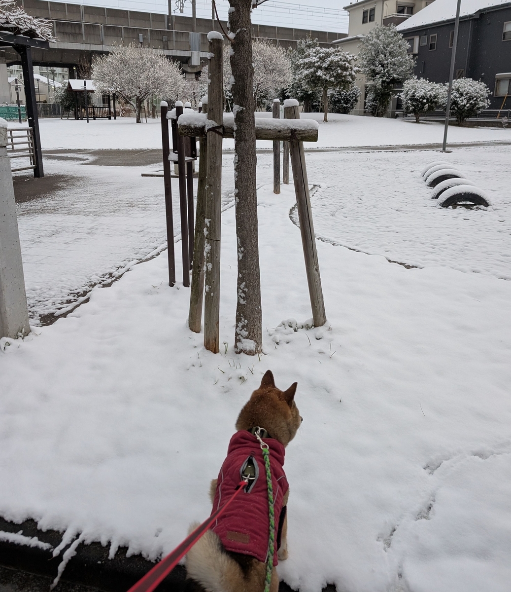 鳥と犬とで大家族