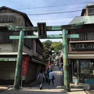 f:id:miyuki_kog:20190512205746j:plain
