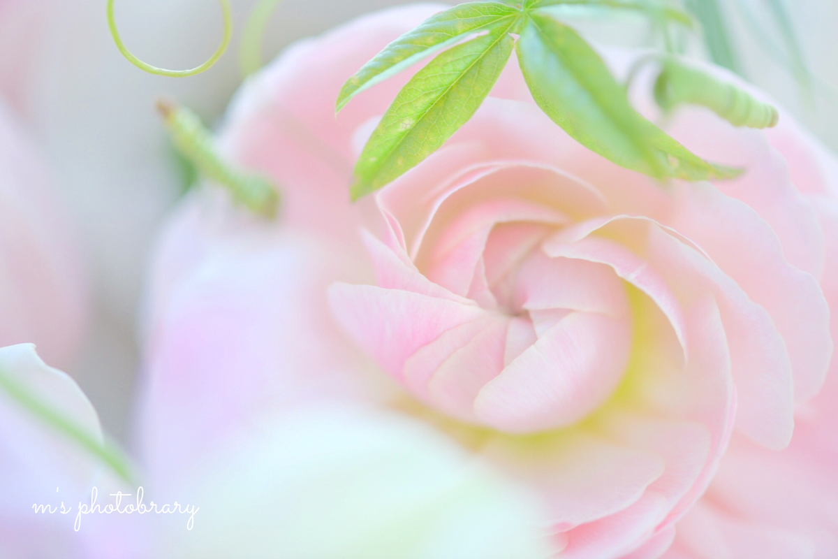 f:id:miyuki_sato:20210130115953j:plain