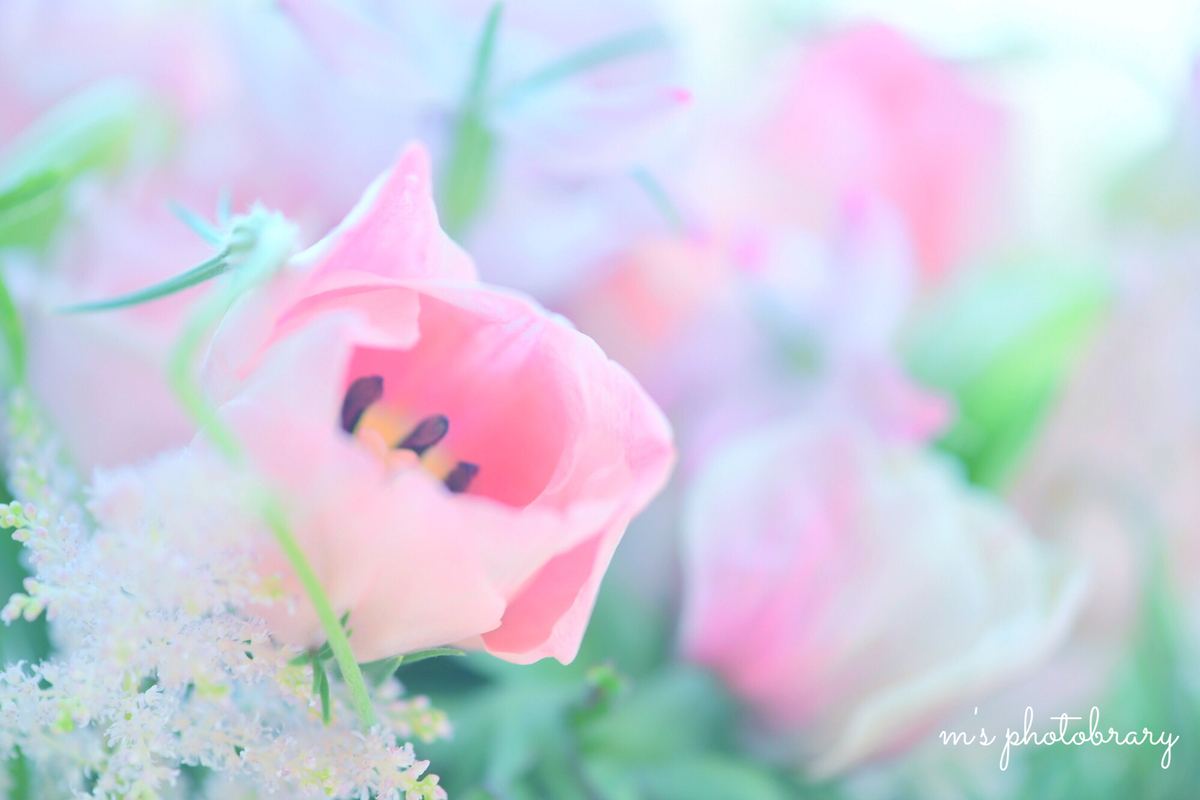 f:id:miyuki_sato:20210130120015j:plain