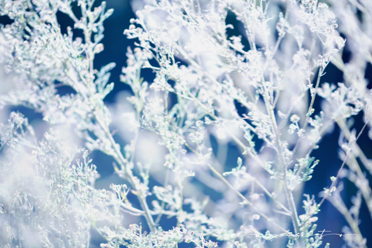 f:id:miyuki_sato:20211012100336j:plain