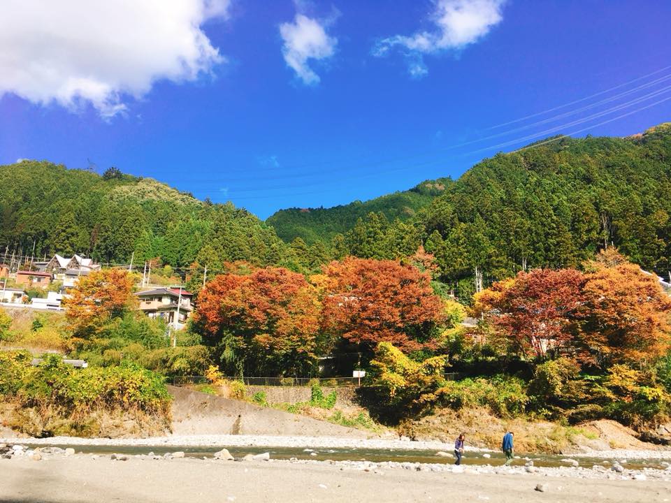 f:id:miyukichi0201:20181121193908j:plain