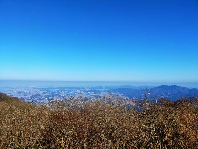 f:id:miyukirun211:20210123233846j:image f:id:miyukirun211:20210123233846j:image