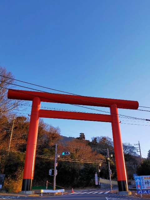 f:id:miyukirun211:20210123234241j:image f:id:miyukirun211:20210123234241j:image