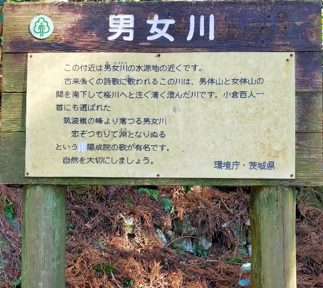 f:id:miyukirun211:20210125232816j:image f:id:miyukirun211:20210125232816j:image