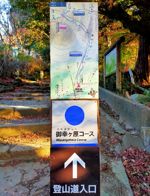 f:id:miyukirun211:20210125234124j:image f:id:miyukirun211:20210125234124j:image