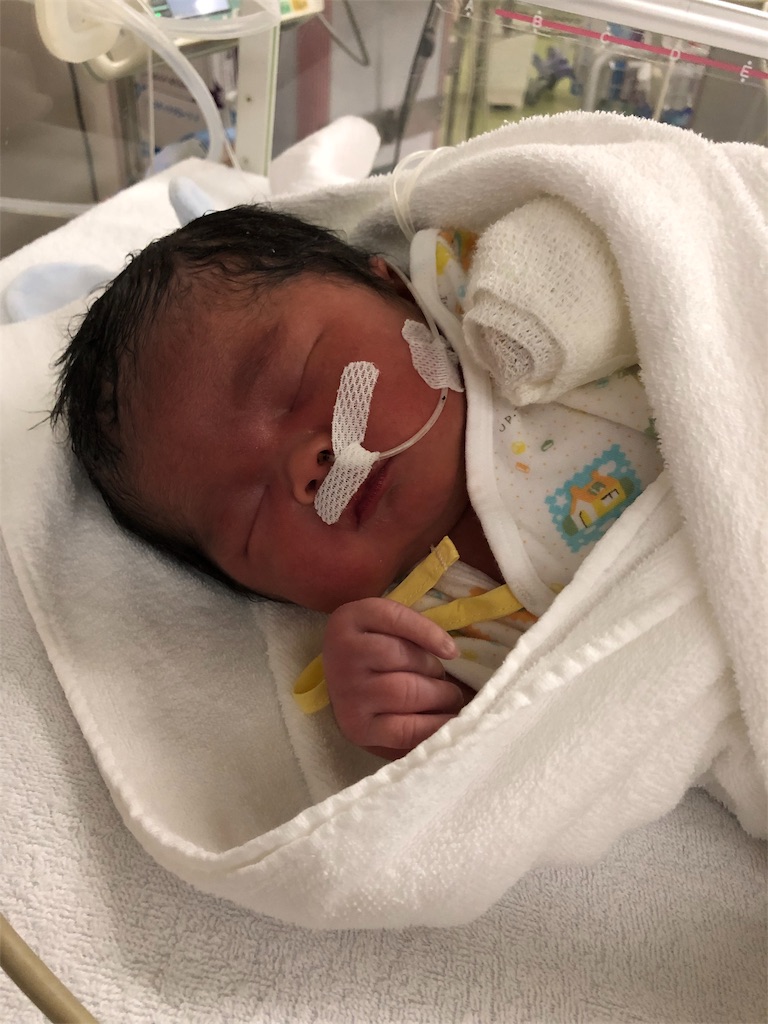 f:id:miyuku:20190722160549j:image f:id:miyuku:20190722160549j:image