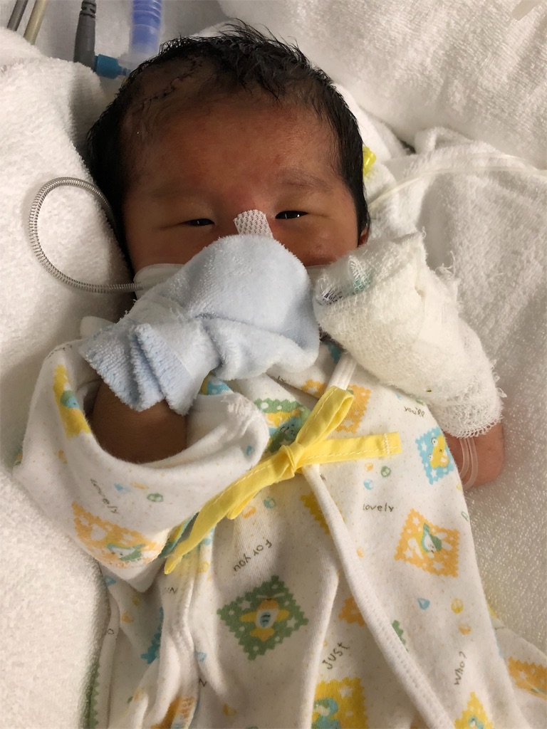 f:id:miyuku:20190725084931j:image f:id:miyuku:20190725084931j:image