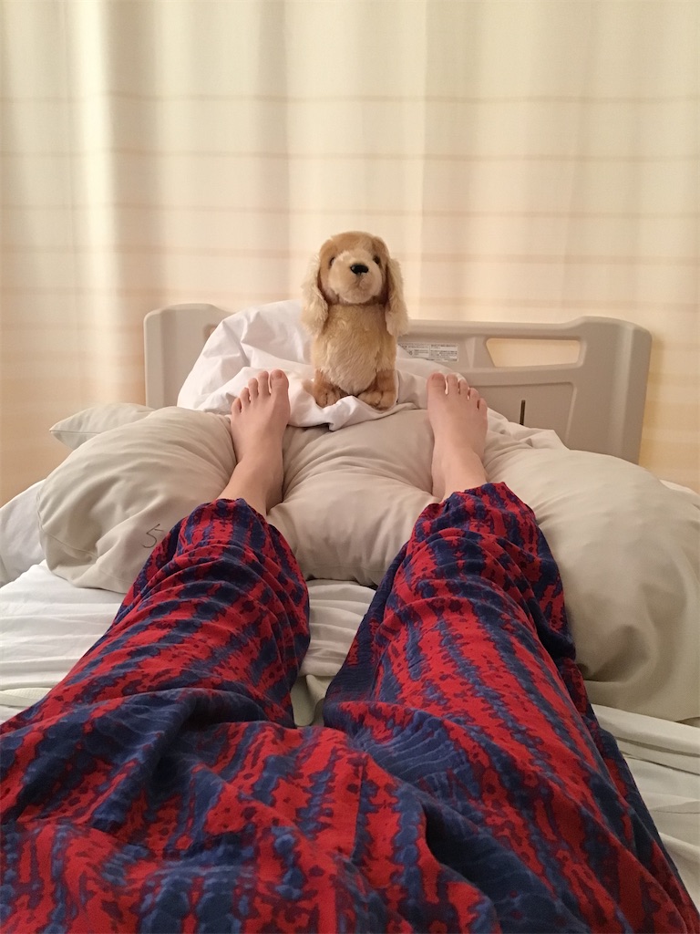 f:id:miyuleilani:20251005084946j:image