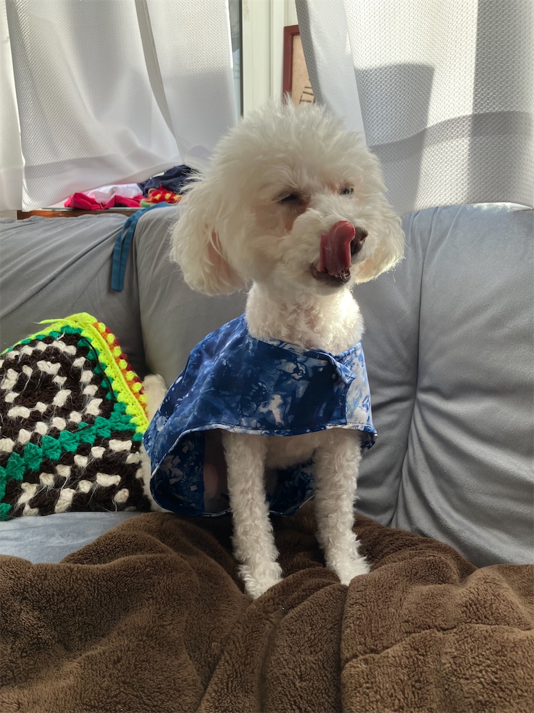 f:id:miyuleilani:20251106195828j:image