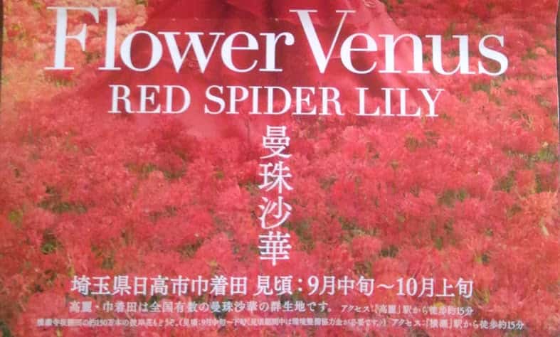 毒があるのに食用 秋の味覚 彼岸花 曼珠沙華 世界にふらりラフに生かせ