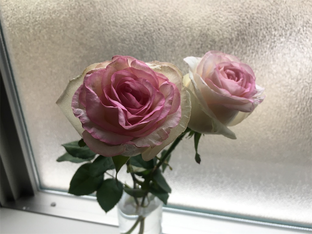 f:id:miyummm:20190106162247j:image f:id:miyummm:20190106162247j:image