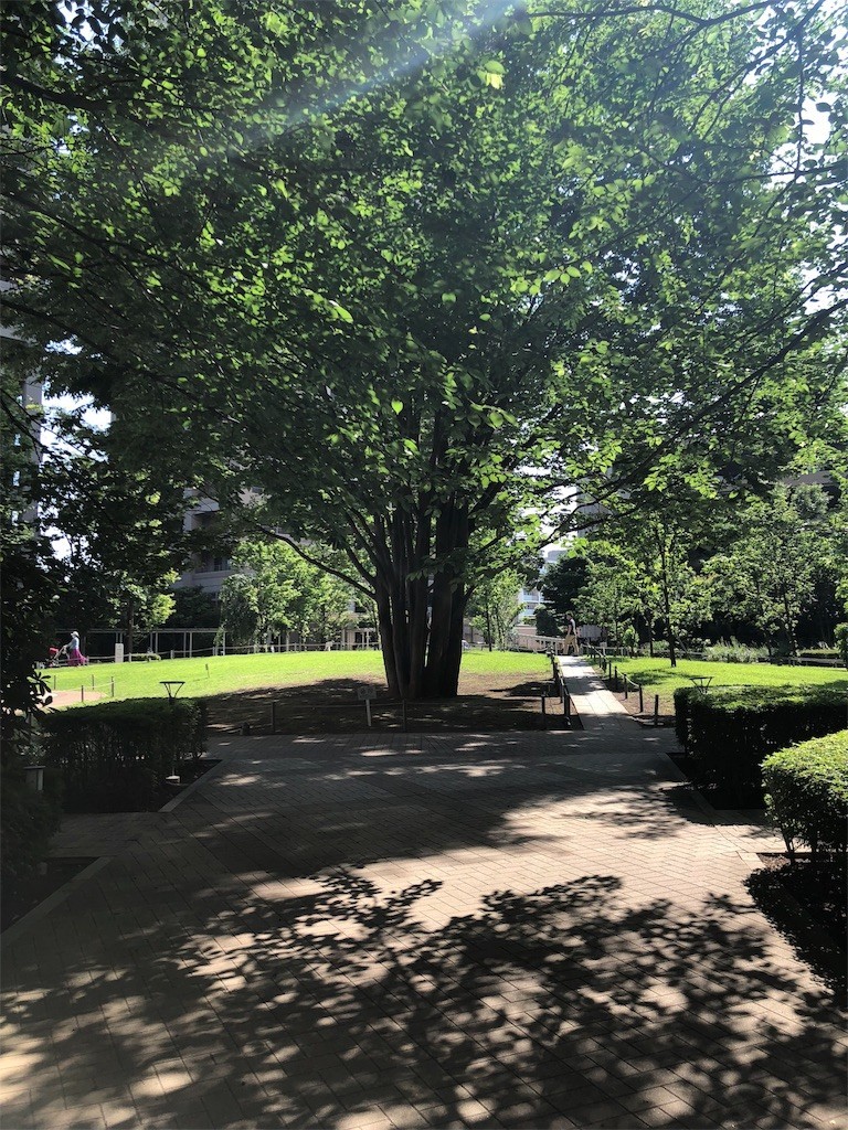 f:id:miyupapamama:20190619223833j:image f:id:miyupapamama:20190619223833j:image