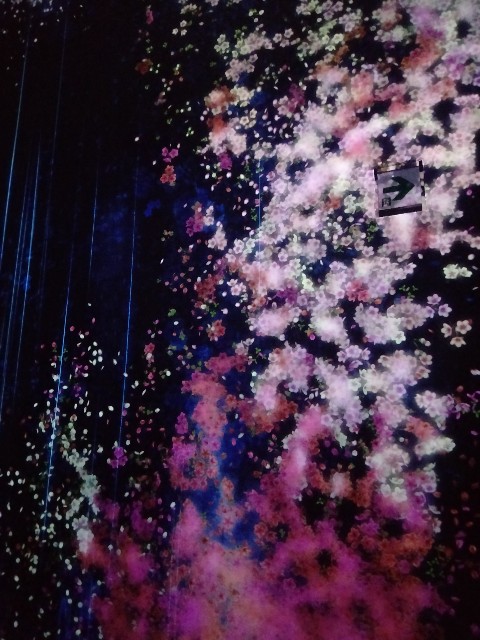 f:id:miyurablog:20260416180250j:image