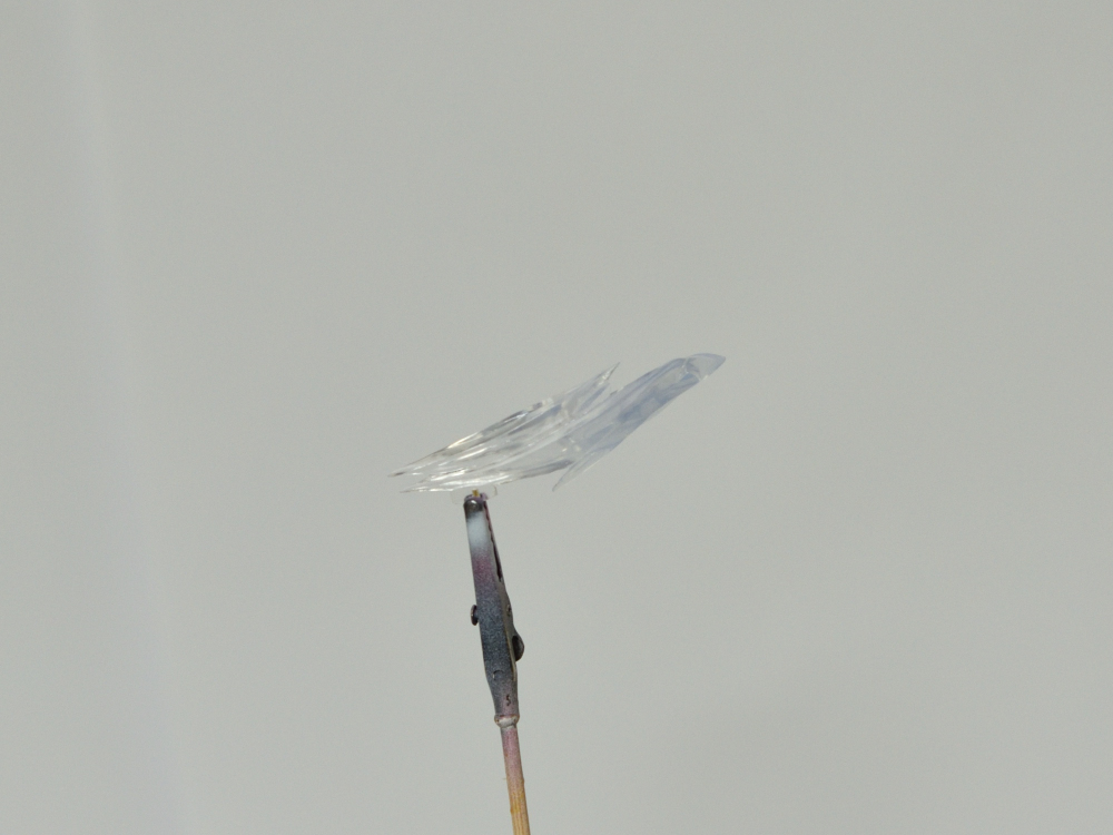 白鳥のジュン 塗装