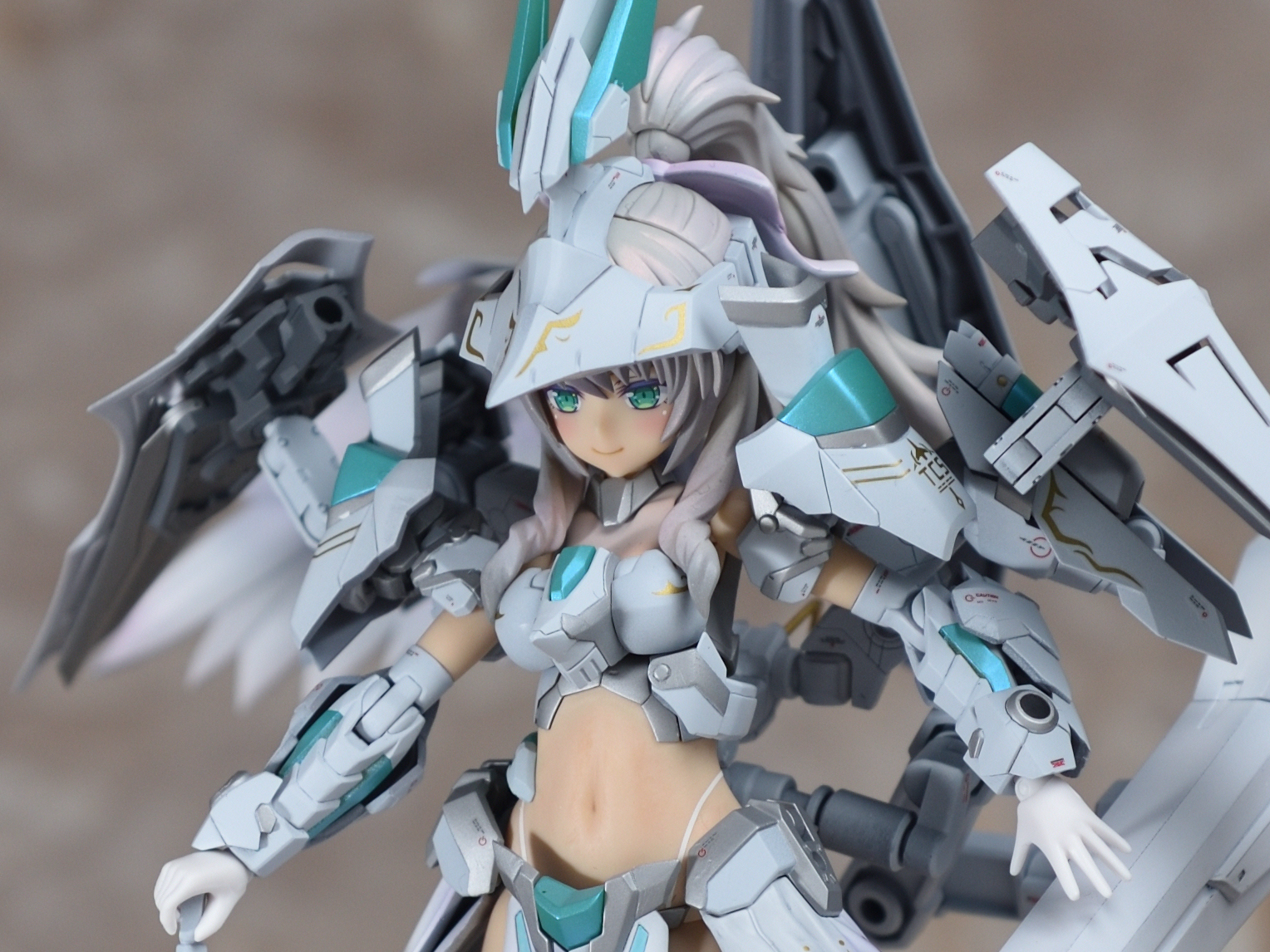 ドゥルガーⅡ　塗装改修