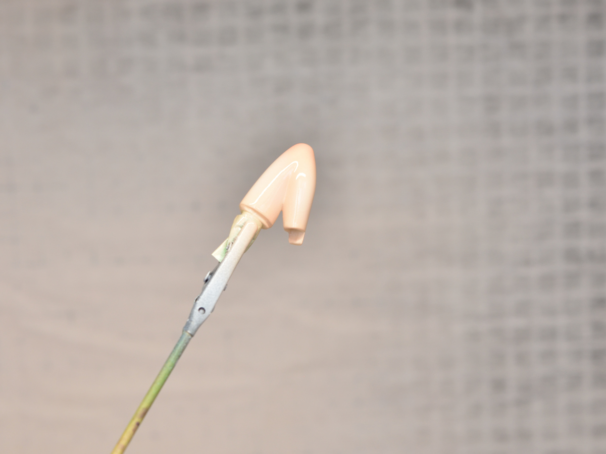 聖園ミカ バニーガール ガレージキット塗装編 - MIYUTOのぷらも道