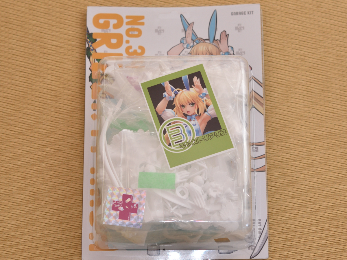 キャストリアリス ガレージキット組立開始です～グリパン氏のね