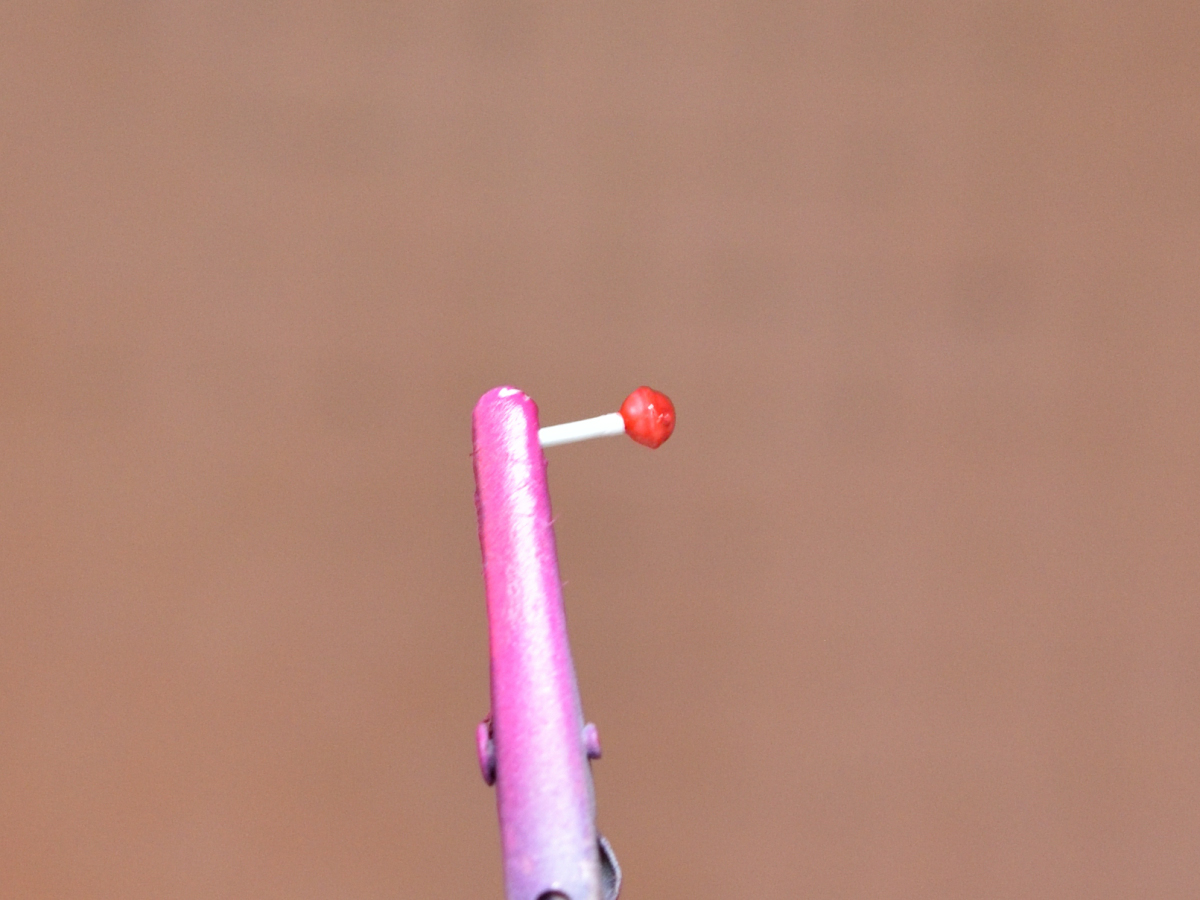 アスカ ガレージキット塗装中2 木箱アスカ VISPOさんのね