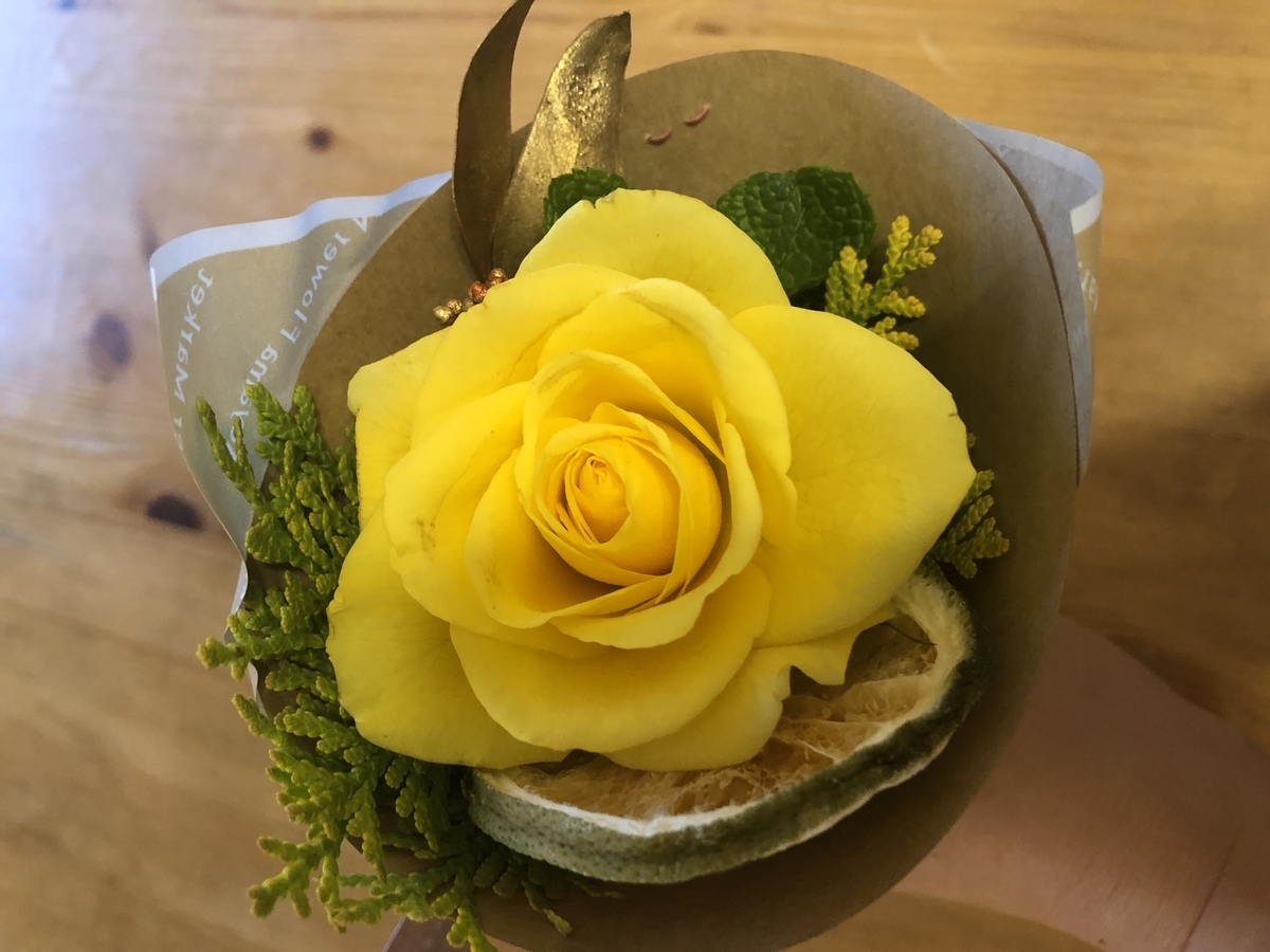 f:id:miyux19:20191226193438j:plain f:id:miyux19:20191226193438j:plain