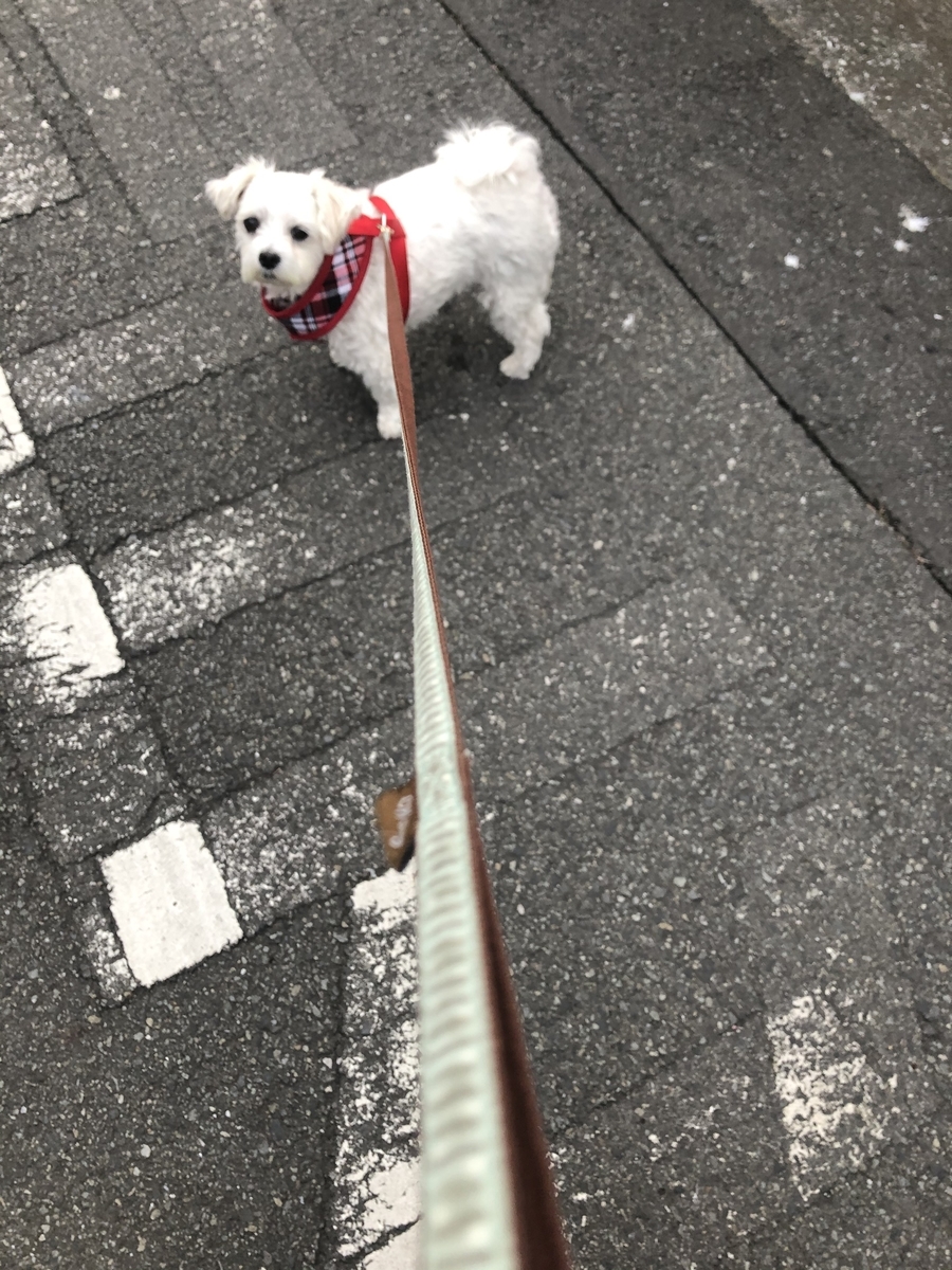 f:id:miyux19:20191226194857j:plain f:id:miyux19:20191226194857j:plain