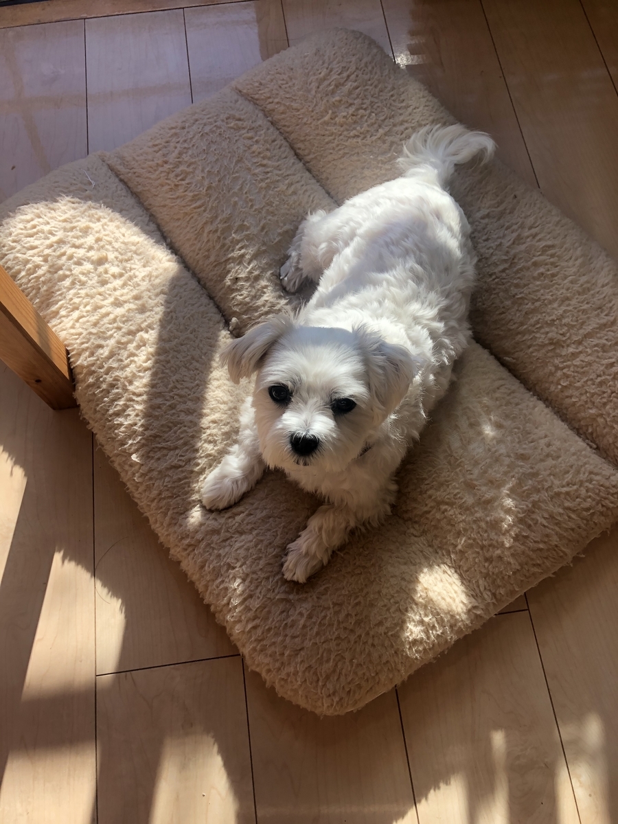 f:id:miyux19:20191228233109j:plain f:id:miyux19:20191228233109j:plain