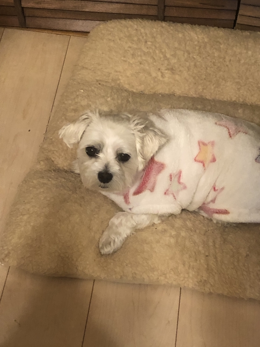 f:id:miyux19:20191229201802j:plain f:id:miyux19:20191229201802j:plain