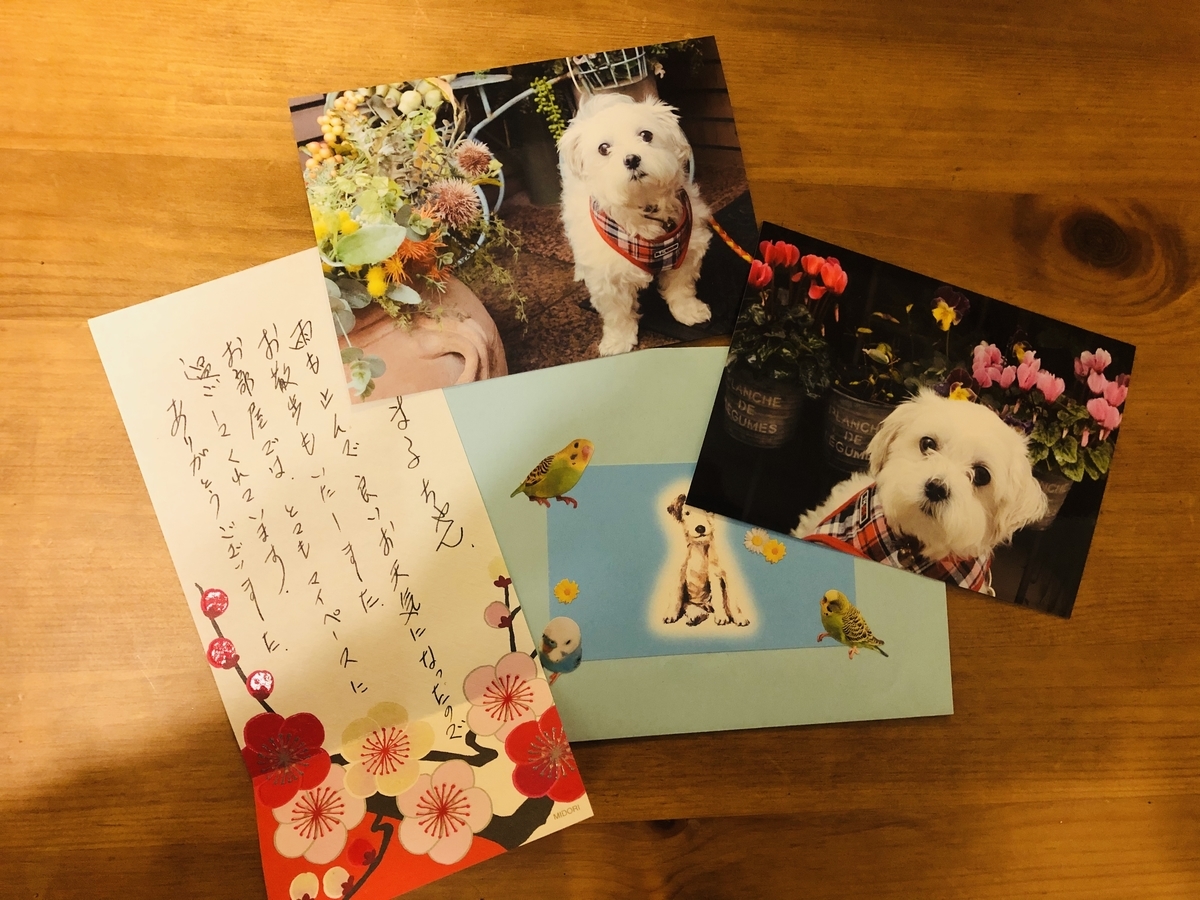 f:id:miyux19:20200129201306j:plain f:id:miyux19:20200129201306j:plain