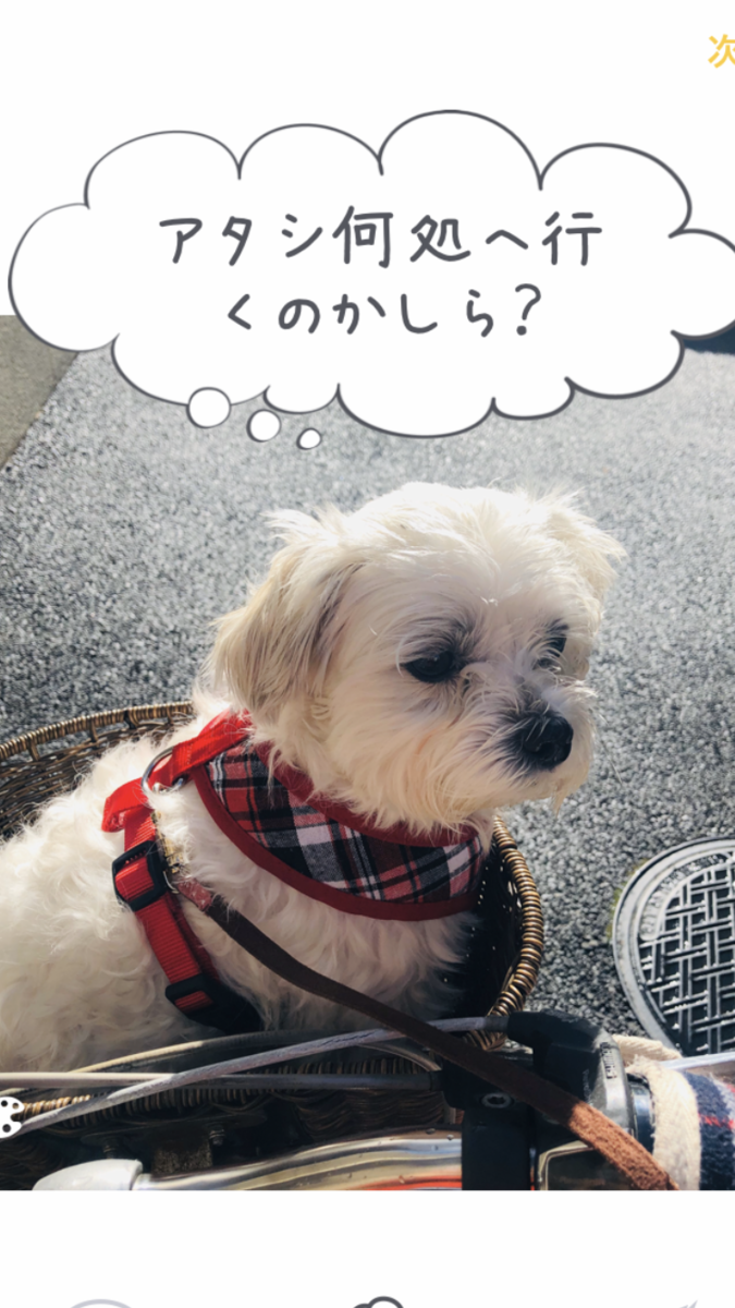 f:id:miyux19:20200129201406p:plain f:id:miyux19:20200129201406p:plain