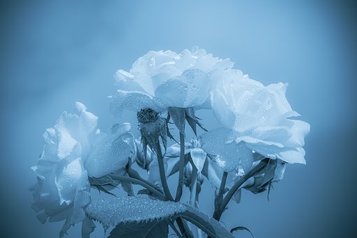 f:id:miyux19:20200331173655j:plain f:id:miyux19:20200331173655j:plain