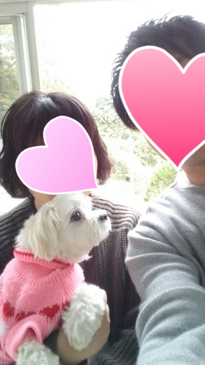 f:id:miyux19:20200505092431j:plain f:id:miyux19:20200505092431j:plain