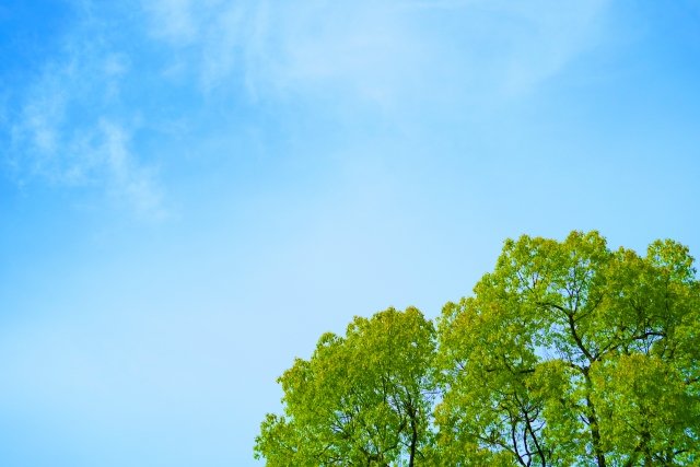 f:id:miyux19:20200831115153j:plain f:id:miyux19:20200831115153j:plain