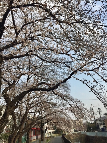 イメージ 4