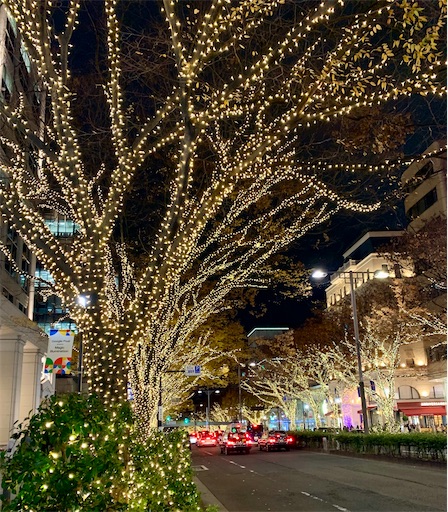 f:id:miyuyu605:20191208015001j:image