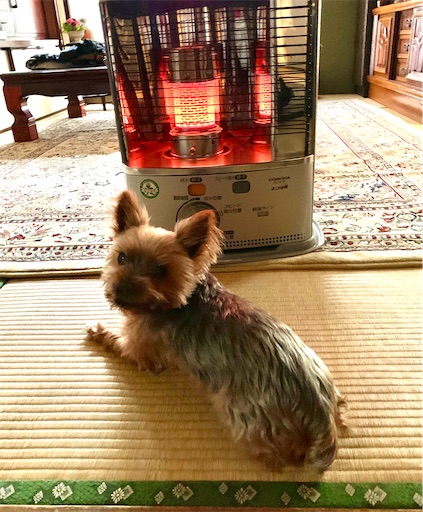 f:id:miyuyu605:20191209141415j:image