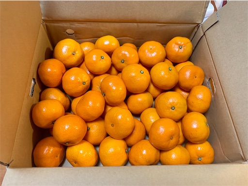 f:id:miyuyu605:20191221192922j:image