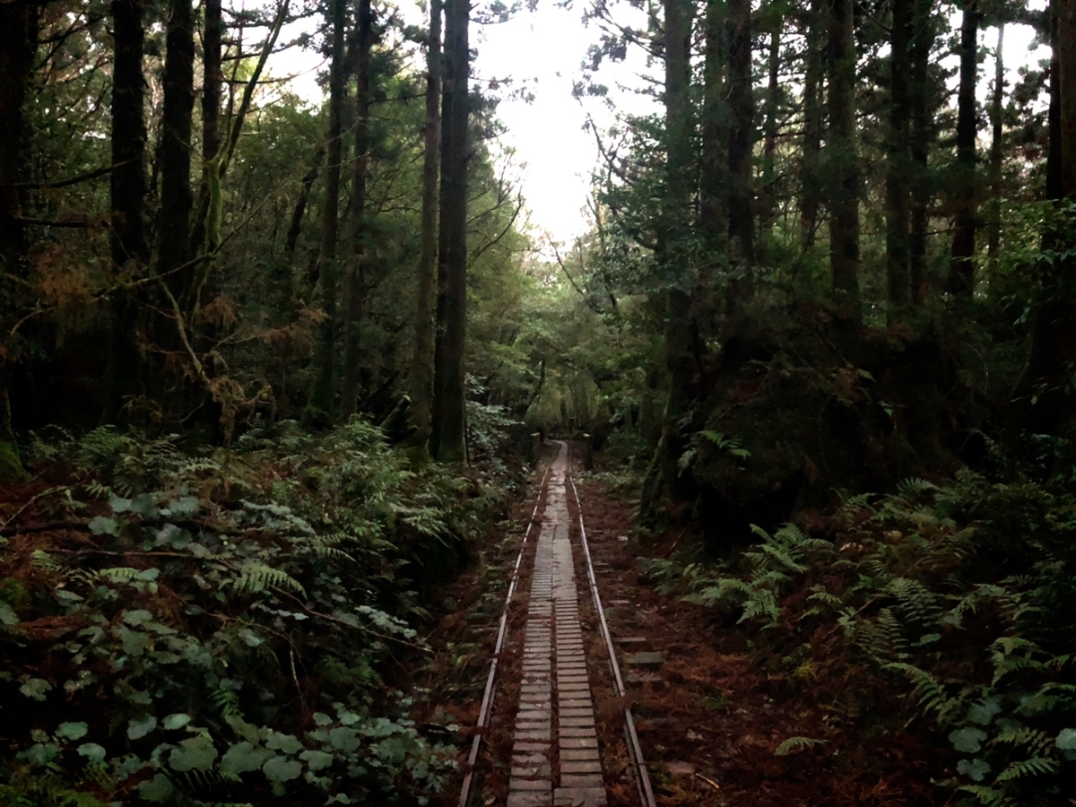 f:id:mizinnko_heart:20220118174122j:plain