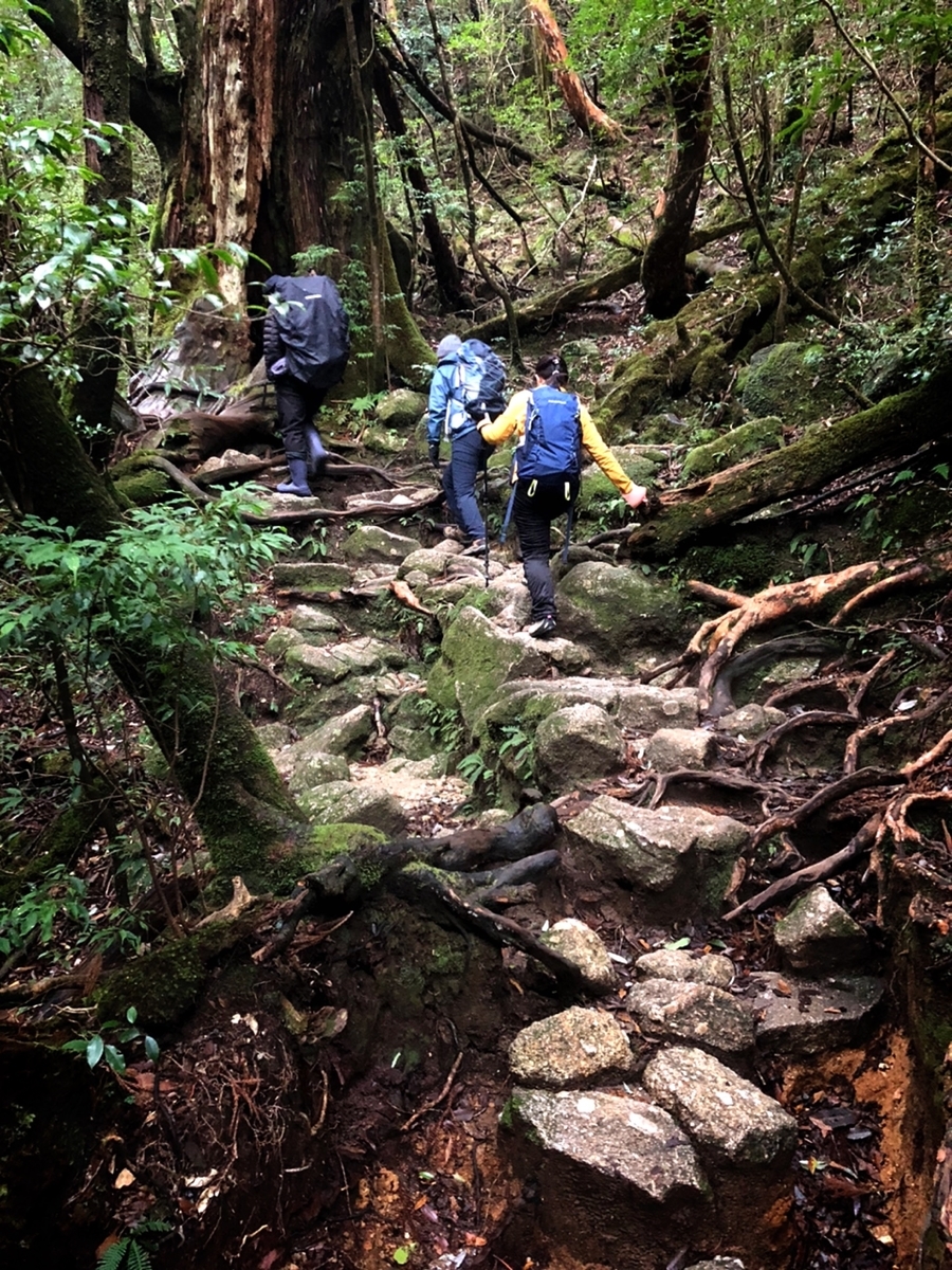 f:id:mizinnko_heart:20220118174902j:plain