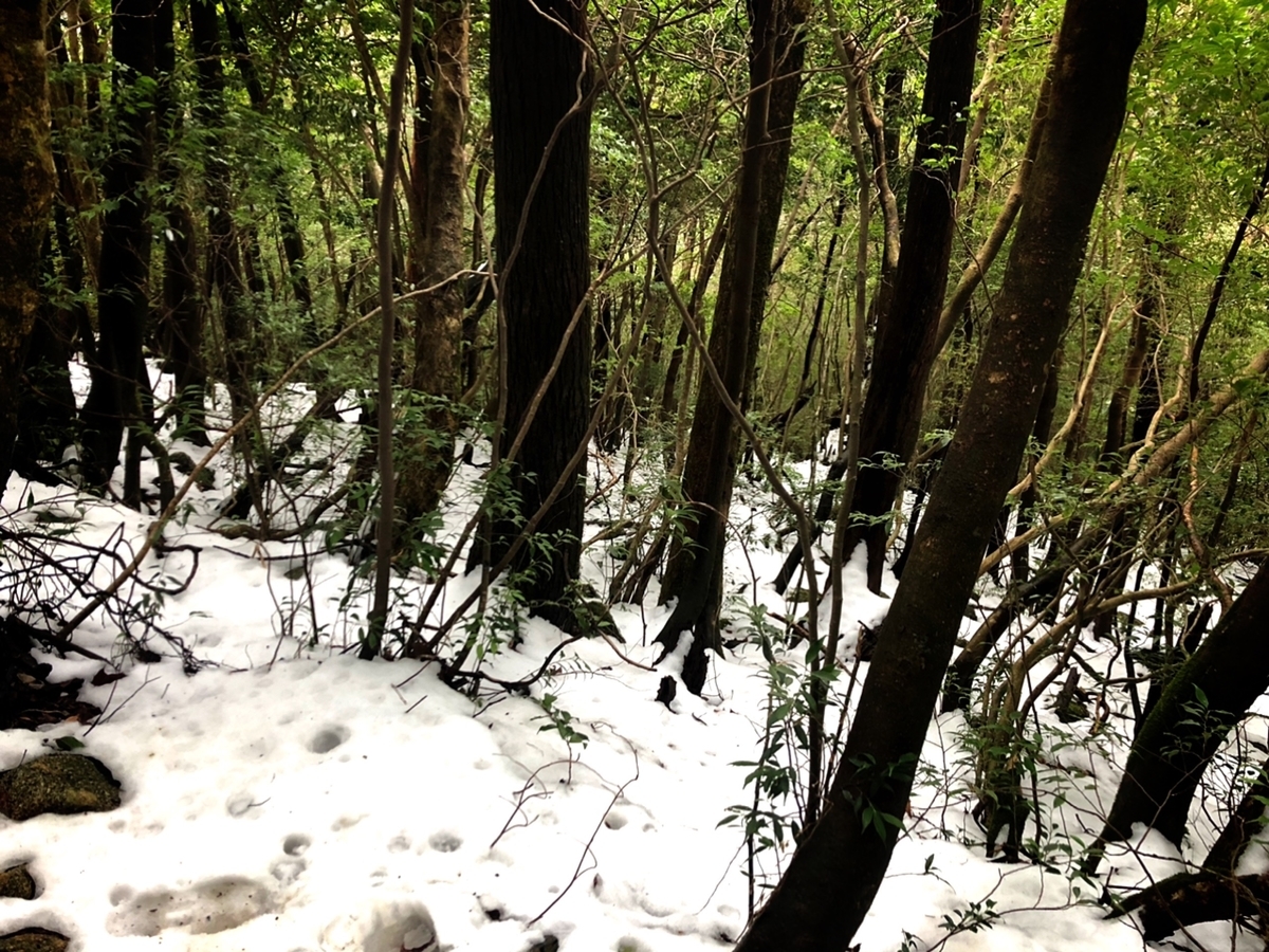 f:id:mizinnko_heart:20220118180012j:plain